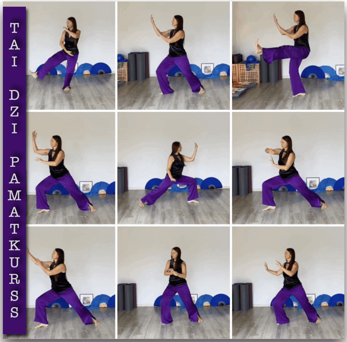 Jan stila Taidzi pamatkurss — apzināta kustību prakse un 108 kustību sekvences apguve klātienē